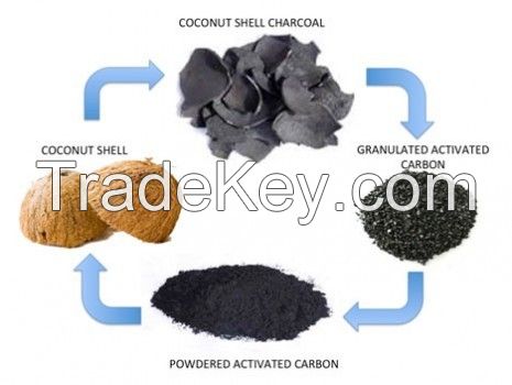 Coconut Shell Based Activated Carbon