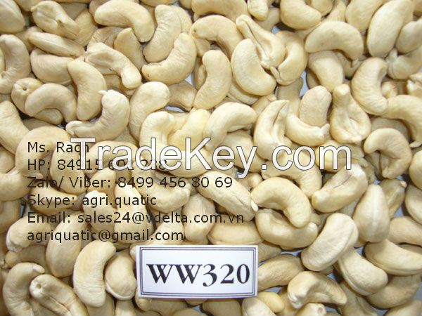 HOT SALE THE BEST CASHEW KERNEL