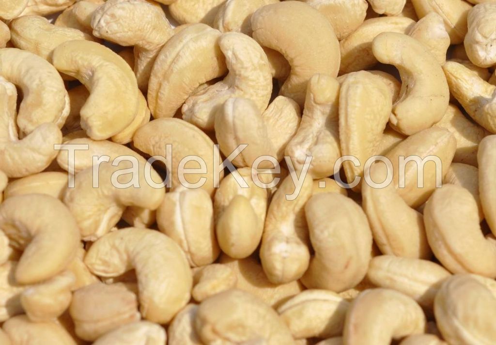 100% High Quality Salted Roasted Cashews Nuts