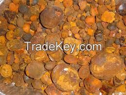 Ox Cow Gallstone