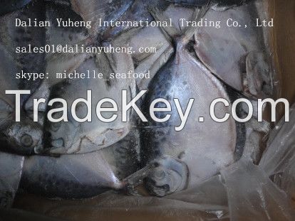 FROZEN FLAT FISH/MOON FISH