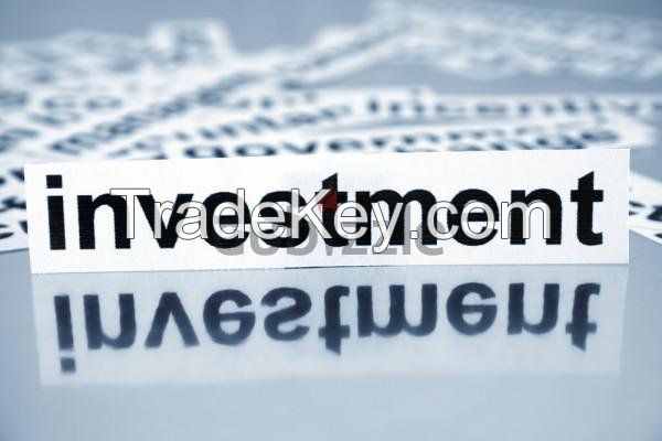 INVESTMENT OPPORTUNITIES AND BUSINESS PARTNERSHIPS