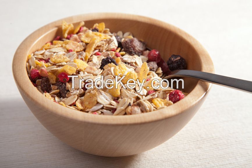 Muesli/ Granola with fruits