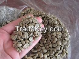 ROBUSTA GREEN COFFEE BEANS