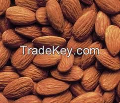 Raw Natural Almond Nuts for Sale