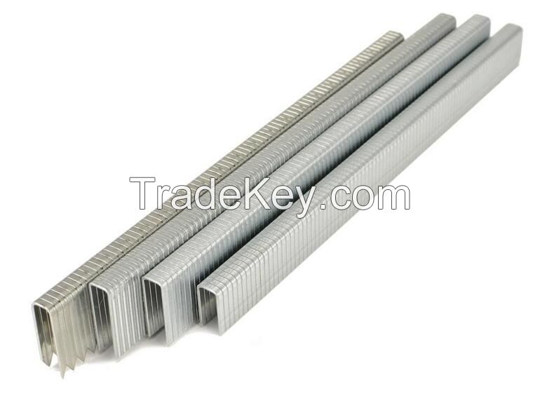 22 GA 3/16 inch A Series  Galvanized Staples