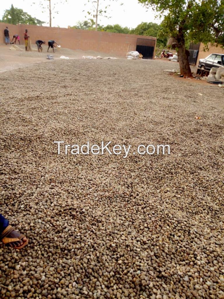 Raw Cashew Nuts for sale at FOB Lagos Port Nigeria