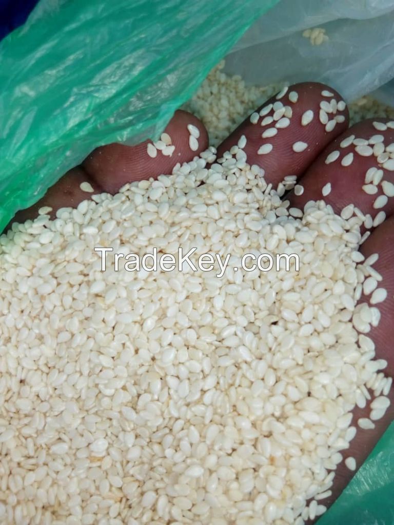 Natural White Sesame Seeds for sale