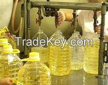 Refined Camellia cooking Oil for sale