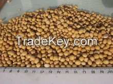 NON GMO dried cheap soybeans for sale