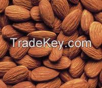 Almond Nuts, Best Quality Almond Nuts, Grade A Almond Nuts