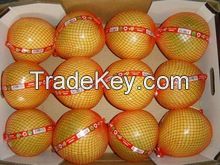 Fresh Honey Pomelo