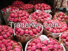 DRAGON FRUIT FROM SOUTH AFRICA