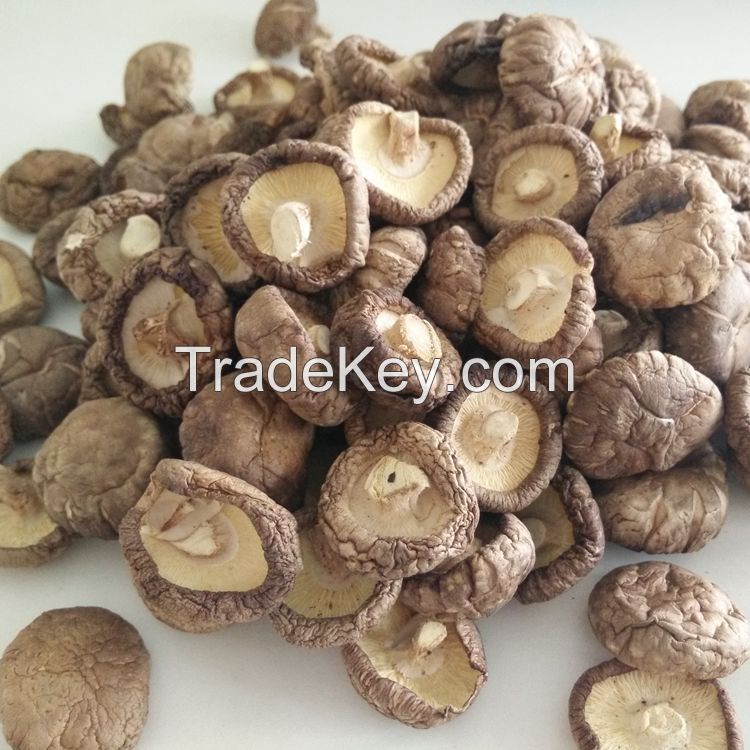 Dried Mushroom Shiitake