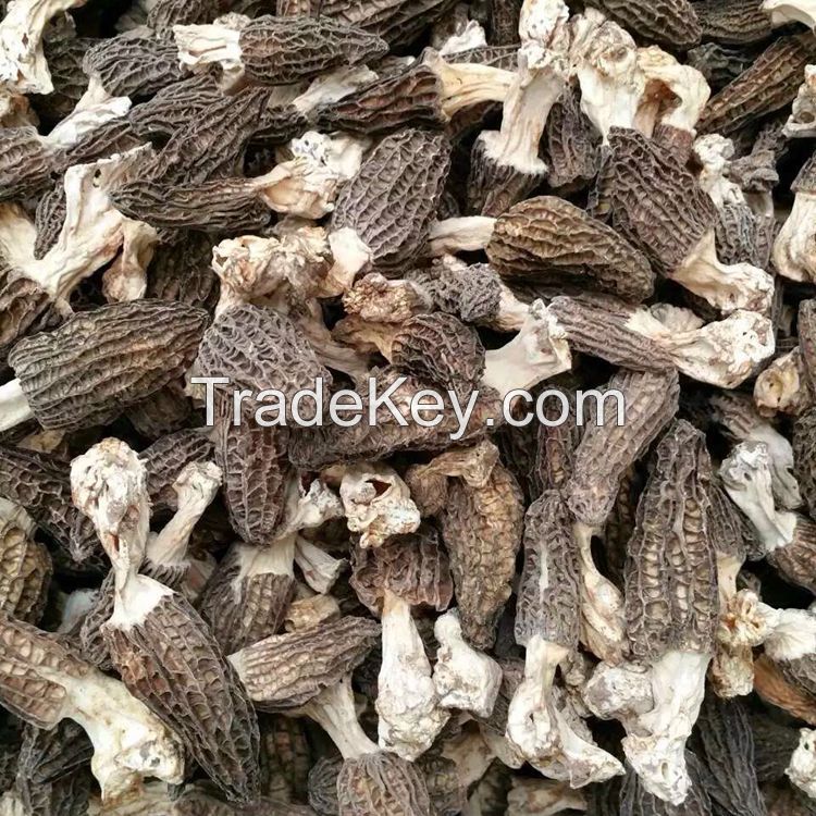 Dried Morel Mushroom with 3-8CM Cap and 2Cm Stem