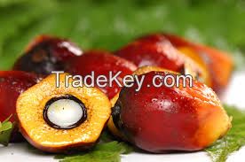 CRUDE PALM OIL (EDIBLE GRADE)