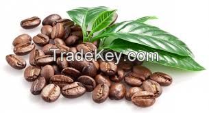 wholesale price