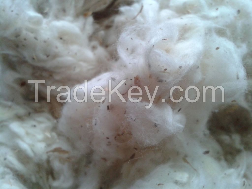 Cotton waste, hard waste, card fly, comber noil