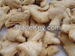 Dried Ginger