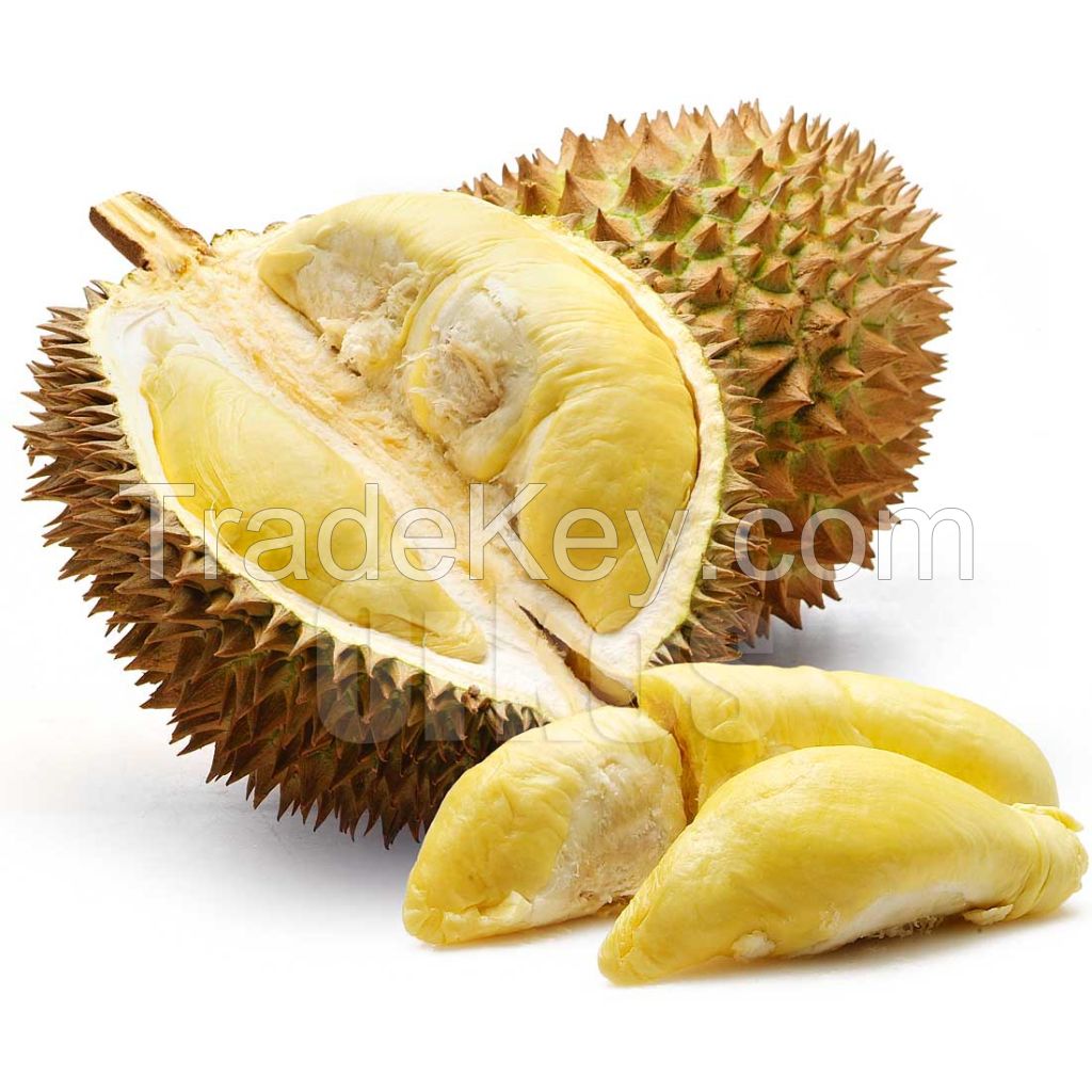 FRESH DURIAN/ DURIO ZIBETHINUS/ CIVET FRUIT/ STINKVRUCHT