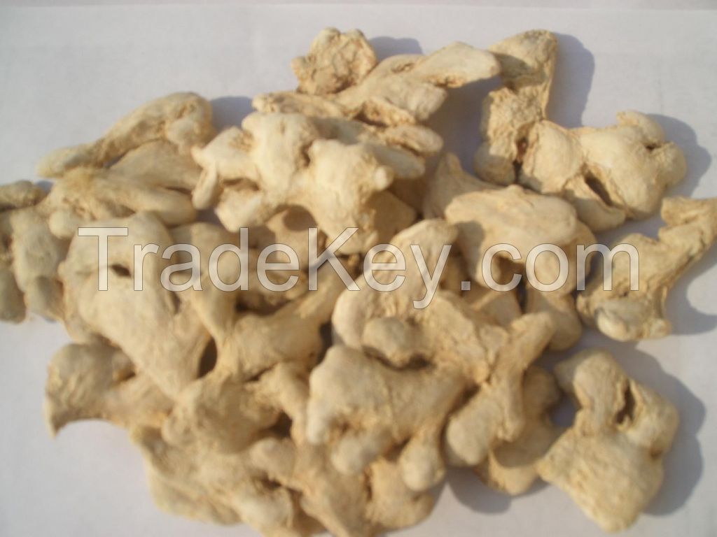 DRIED WHOLE GINGER/ ADHU/ GINGEMBRE/ JENGIBRE/ JEUNG/ IMBIR/ INGURU/ KHING/ SHOGA/ ZENZERO