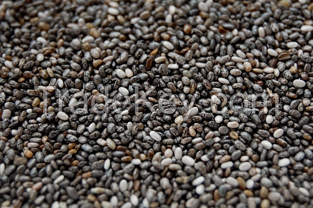 Black Chia Seed