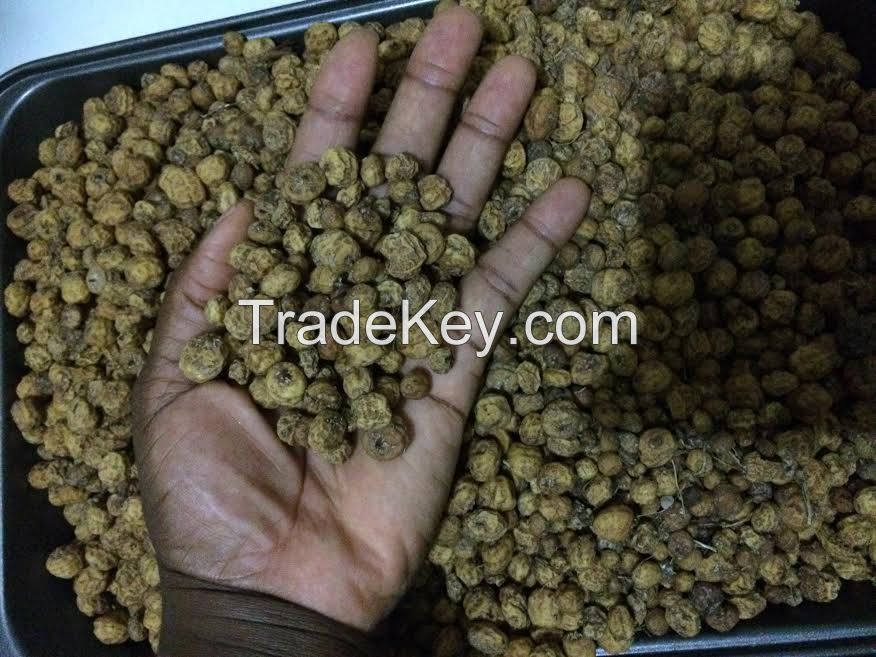 Tiger Nuts