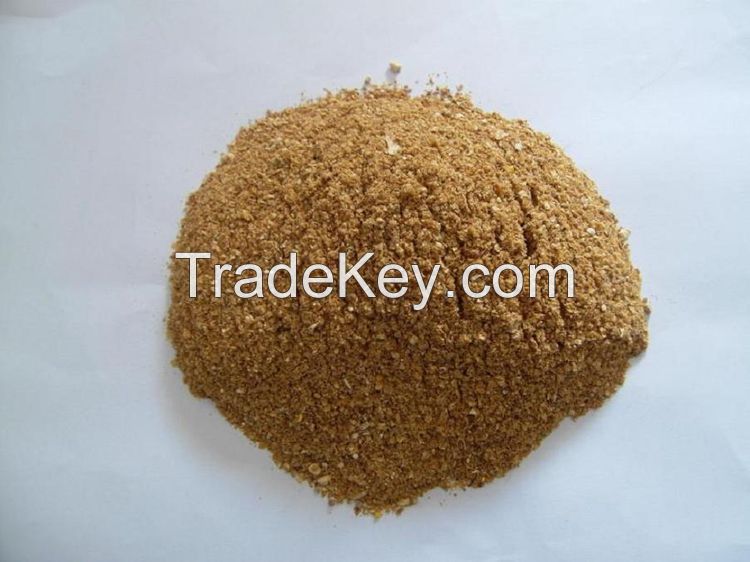 Feed Additive Corn Gluten for Sale Chicken Feed