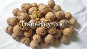 Walnut Kernel