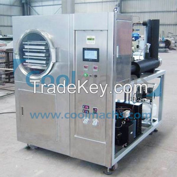 Sell FD-0.5 pilot freeze dryer for FD food products