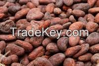 Cocoa Beans