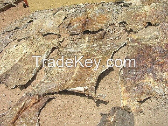 DONKEY HIDES " WET SALTED AND DRY SALTED"