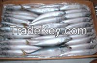 Frozen Fish Mackerel Price