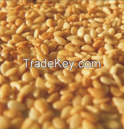 SELL Sesame Seeds, Un-Hulled, White Creamy and Brown