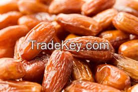 Date Palm fruits For Export