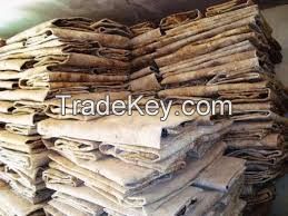 Dry Salted Donkey Hides