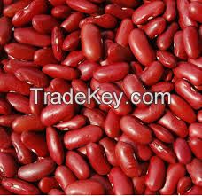 DARK Red Kidney Beans