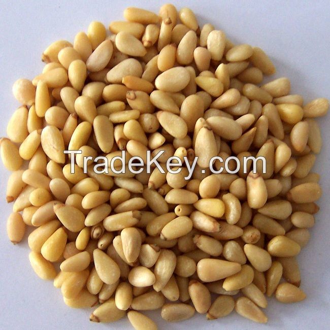 Pine Nuts