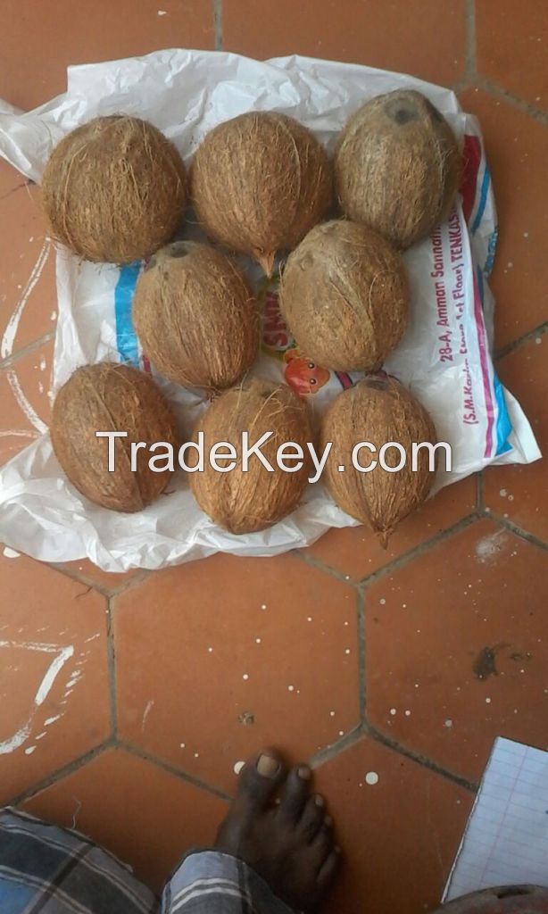 Organic Coconut