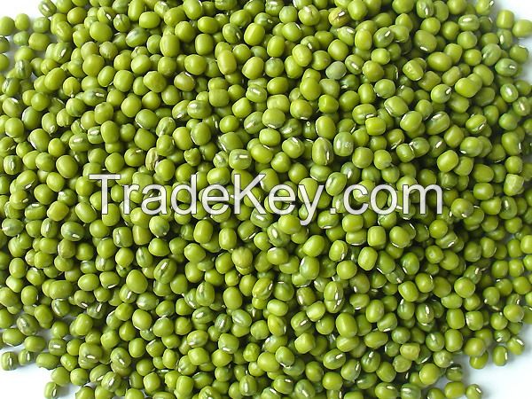 Viet Nam green mung bean making cake bean sprouts wholesale skin on off