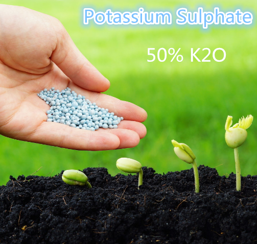 Sell Magnesium Sulphate