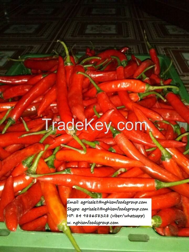 SELL FRESH RED CHILLI