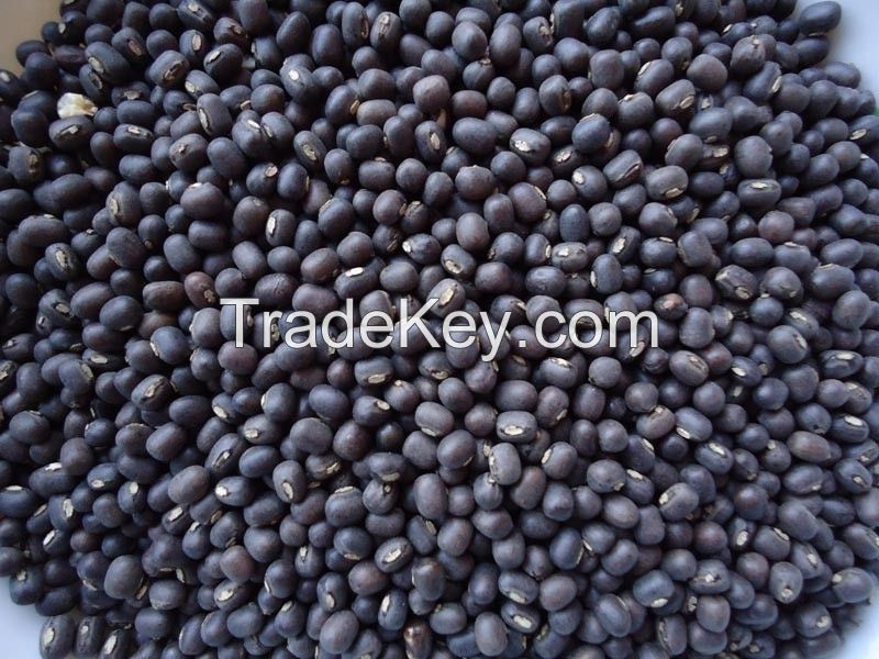 Black Matpe Whole Black Matpe Black Matpe Beans Split Matpe Split Matpe