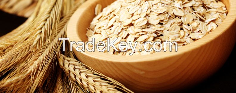 Rolled / Flakes Oats / White oats