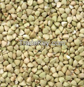 High Quality Buckwheat