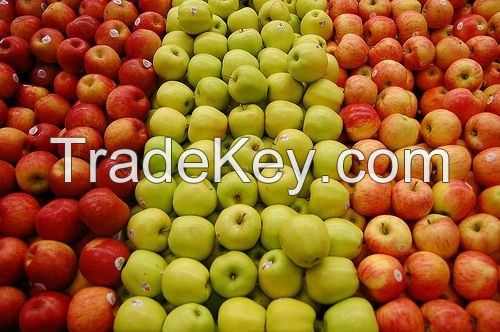 Grade A Fresh Apples