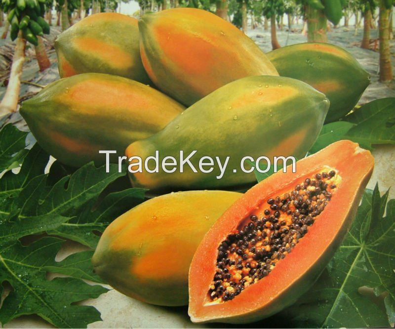 Fresh Papaya