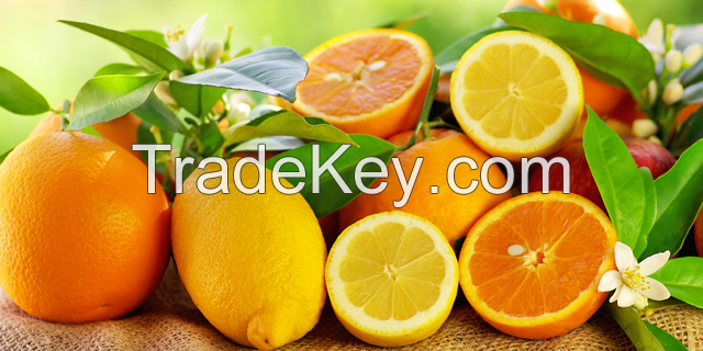 Fresh Citrus Fruit