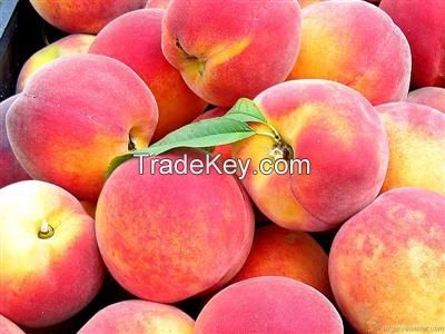 Fresh Peaches