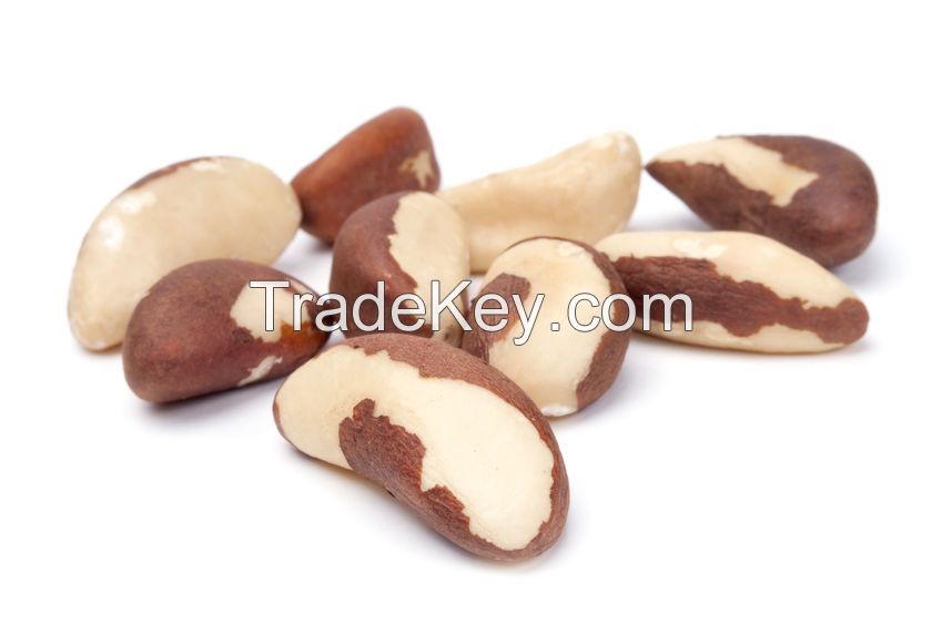 Brazil Nuts